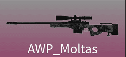 AWP_Moltas