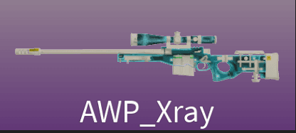 AWP_Xray