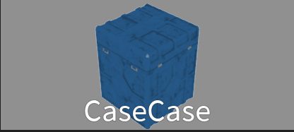 CaseCase