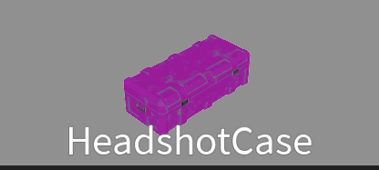 HeadshotCase