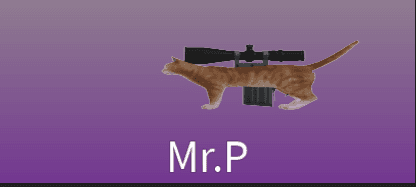 Mr.P