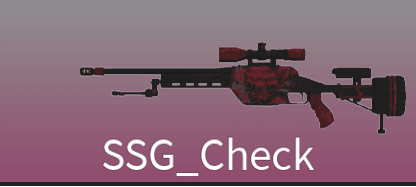SSG_Check