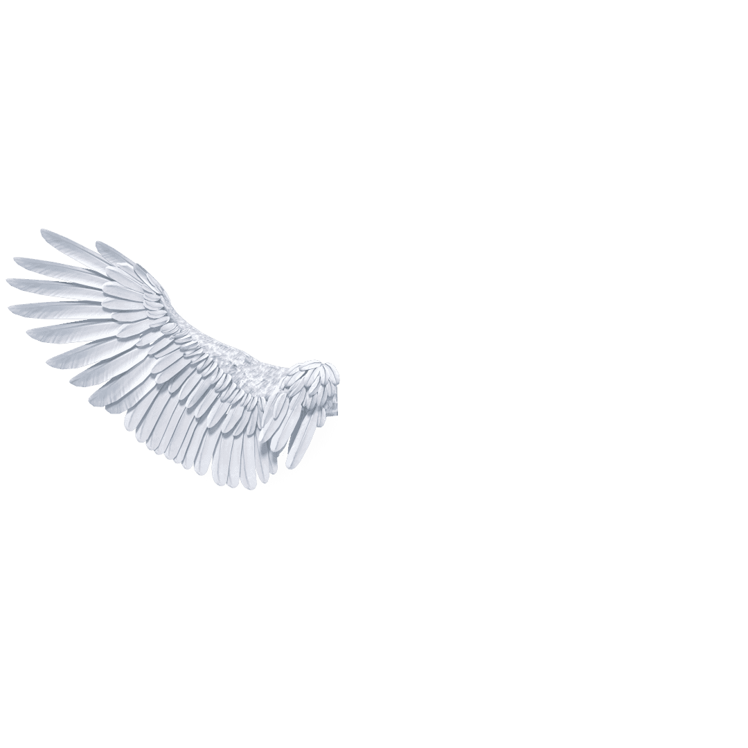 Wing
